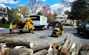 Best Leaf Removal  in Coldwater, MI